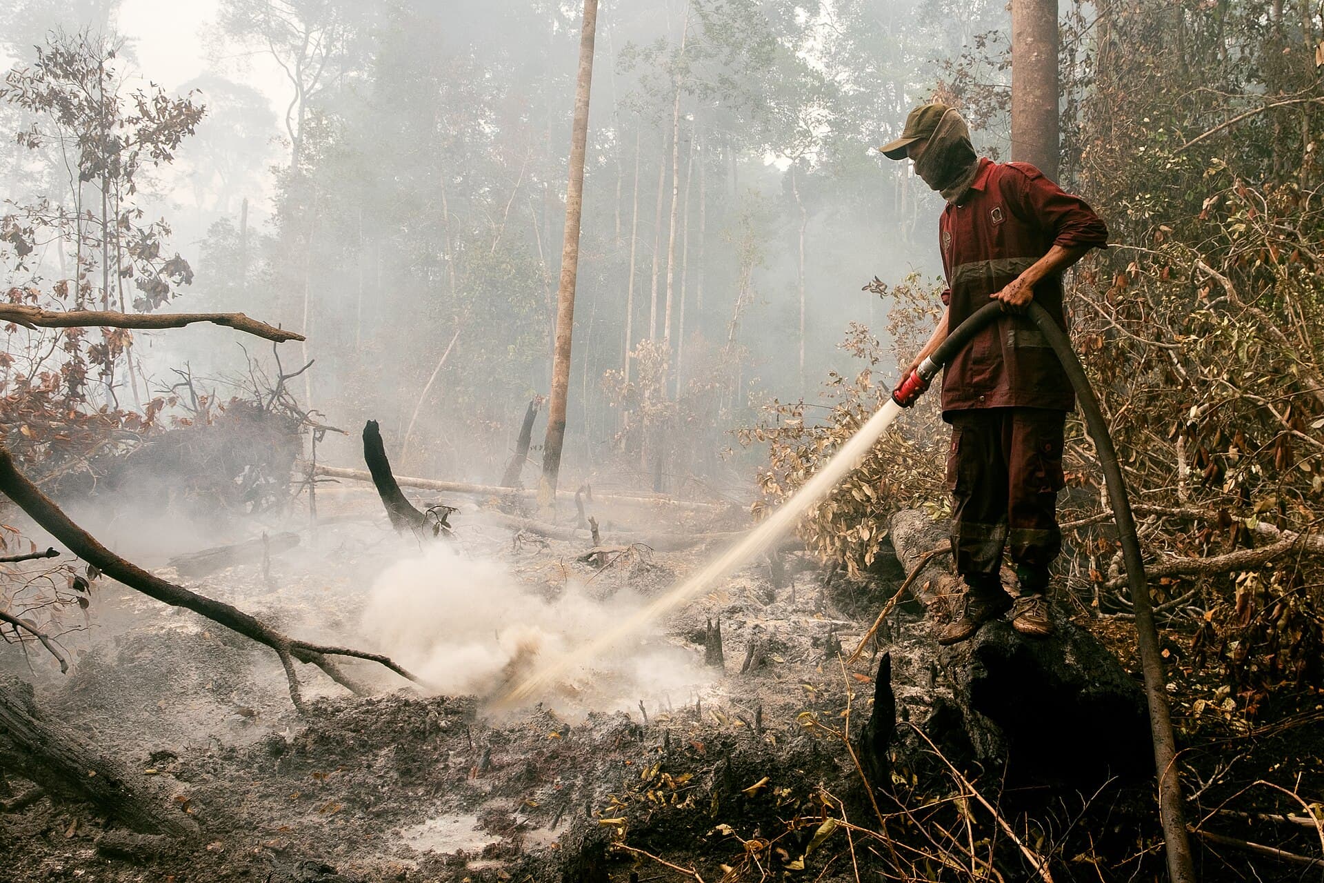 Petugas memadamkan kebakaran lahan gambut yang masih berasap.
